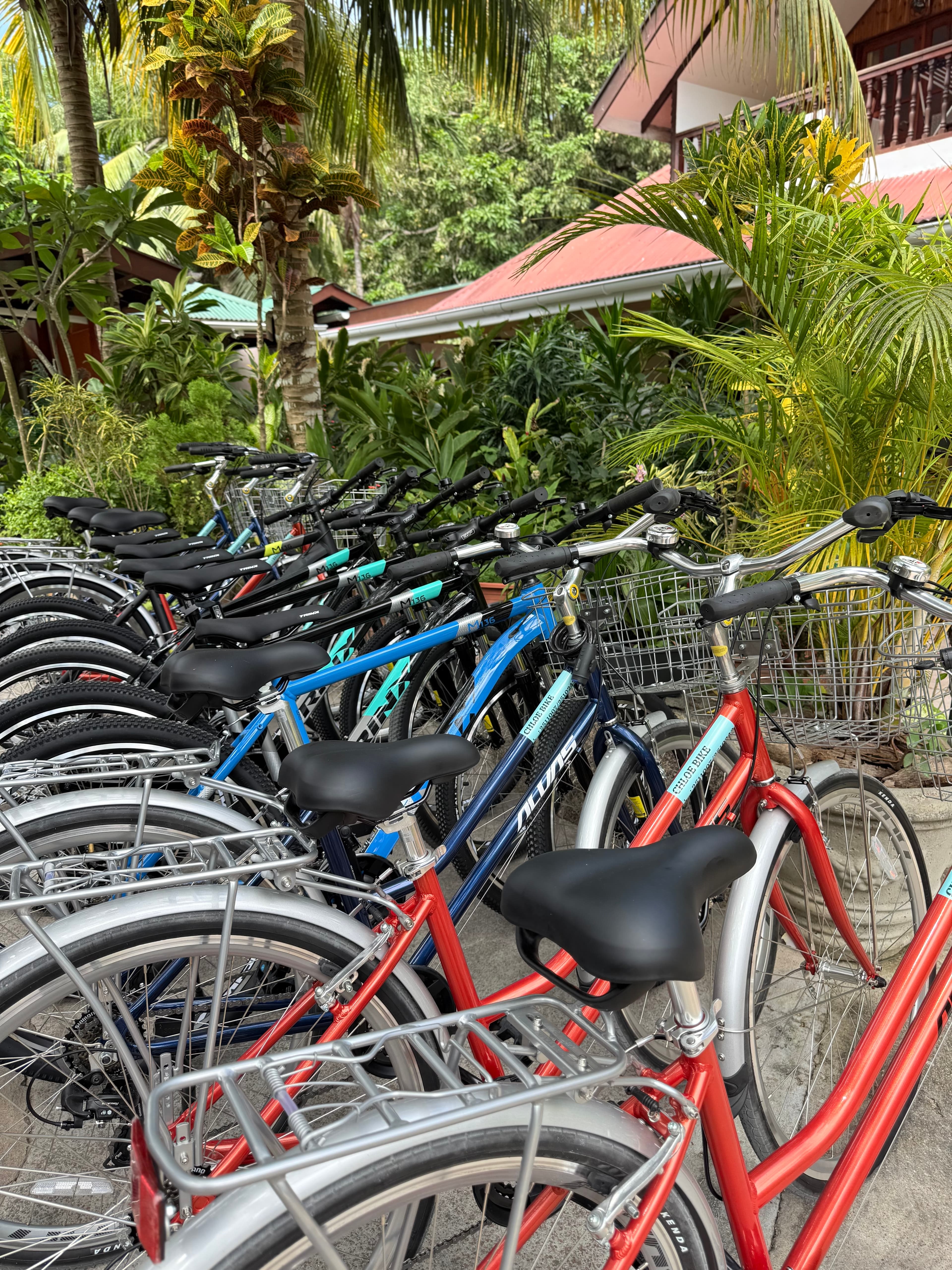 Bicycle rental excursion